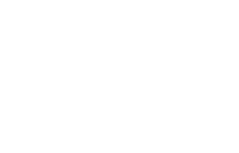 Construcción Fishbone