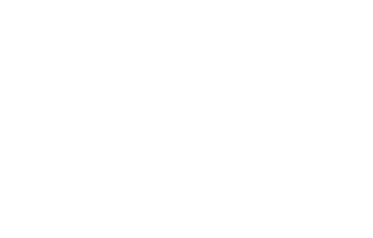 Fishbone Construction